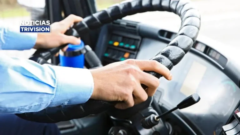 ¡Ahora podrá obtener licencia para bus sin tener licencia B o C-1!