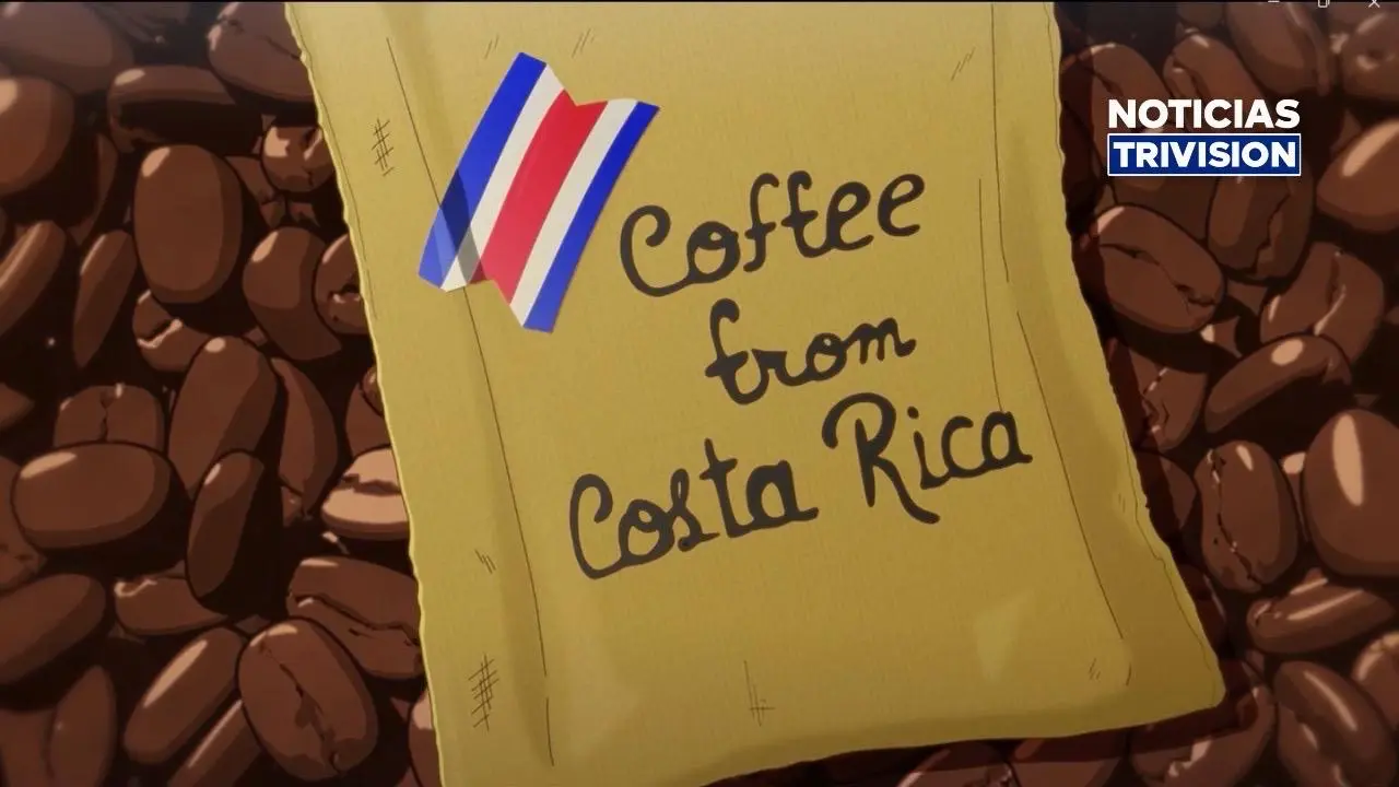 Animé lleva el café de Costa Rica a conquistar mercados asiáticos