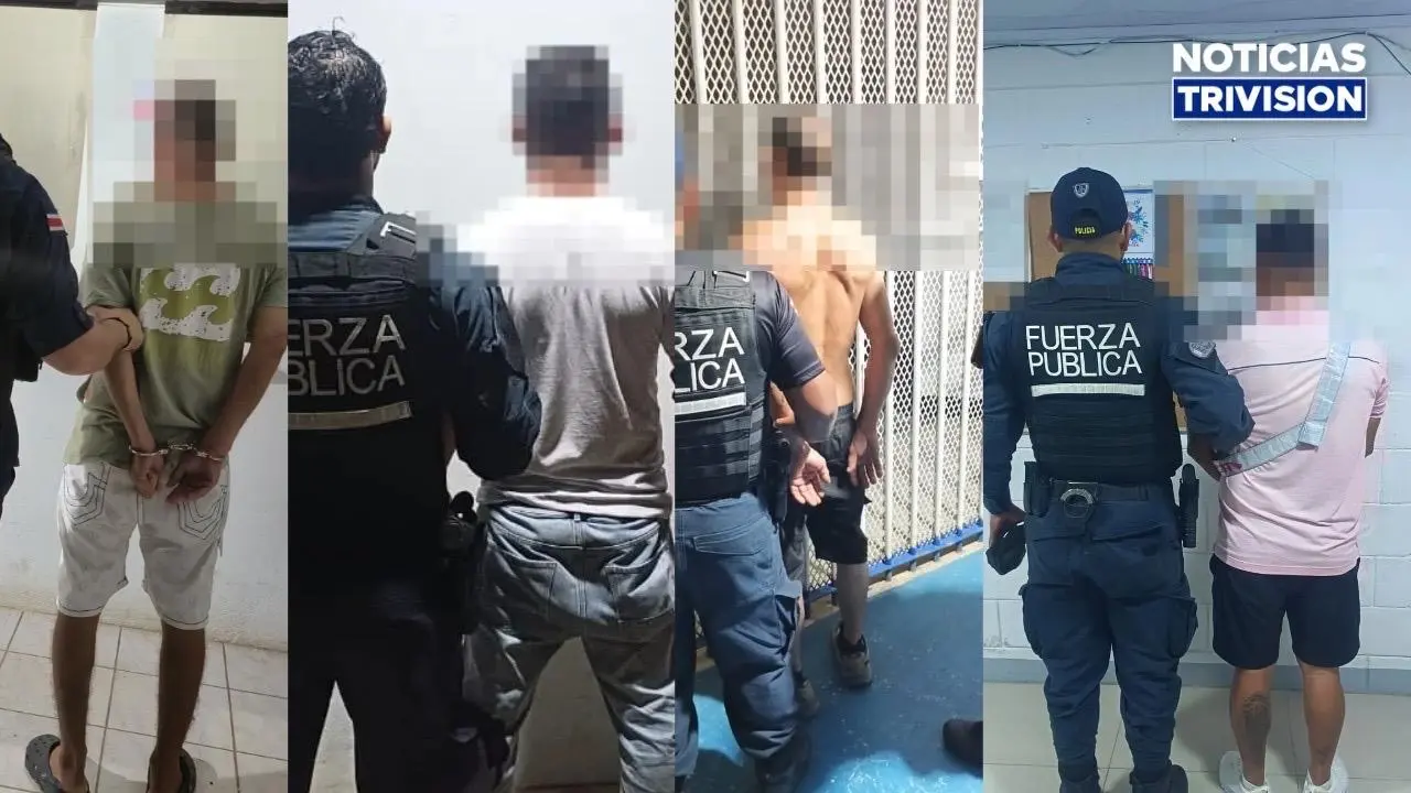Operativos en la Zona Sur dejan a 15 detenidos