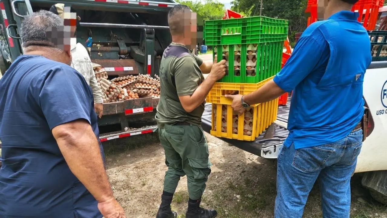 Decomisan más de 14 toneladas de alimentos en mal estado en la Zona Sur