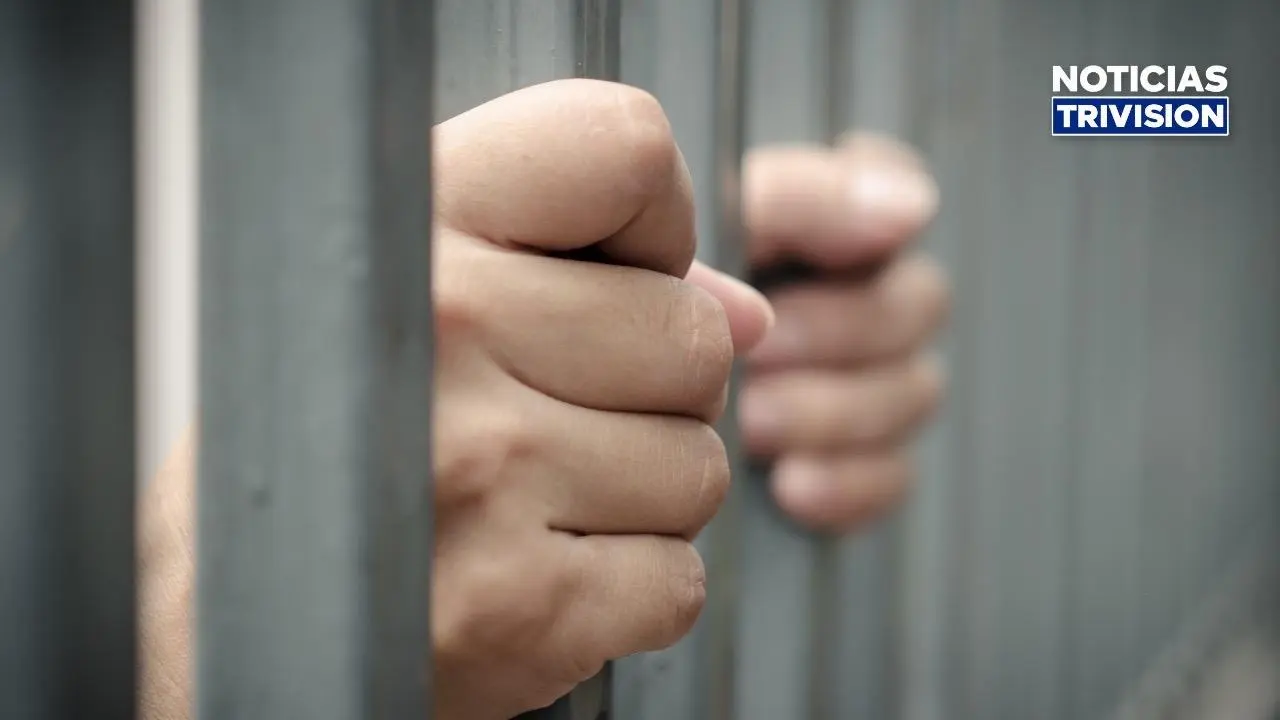 Estafa de $600 mil deja cuatro estadounidenses detenidos en Pérez Zeledón