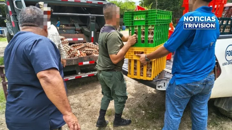 Frenan ingreso de 18,000 huevos sin origen comprobado en Golfito