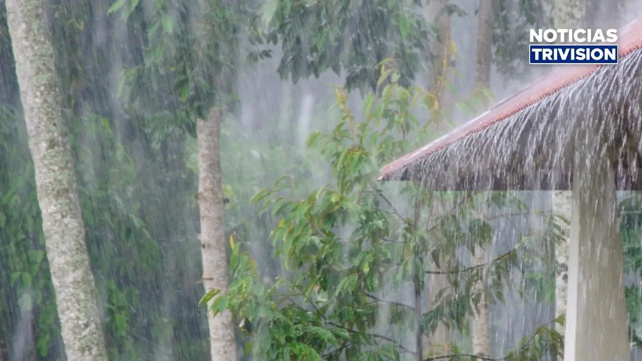 ¡No guarde el paraguas! Lluvias y tormentas seguirán este viernes