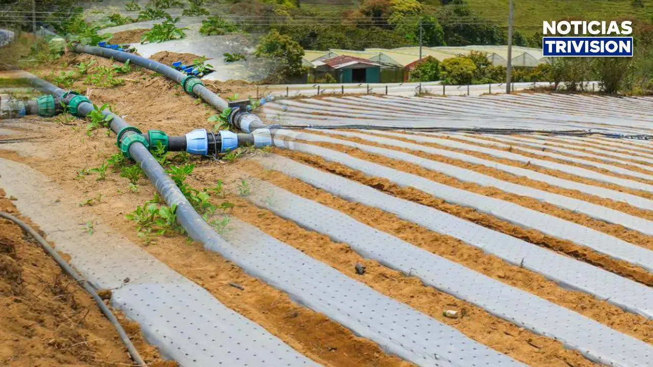 Pequeños agricultores tendrán la oportunidad de modernizarse