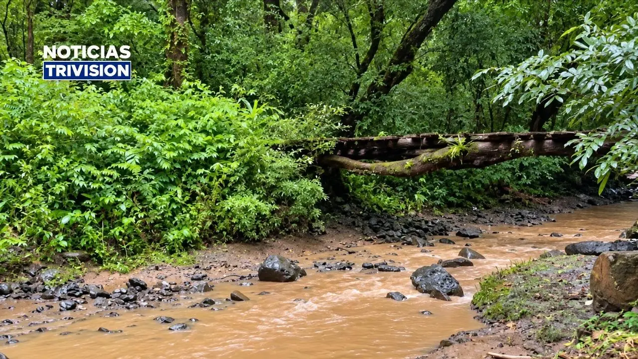 Turrubares tendrá nuevo puente modular en la ruta 319